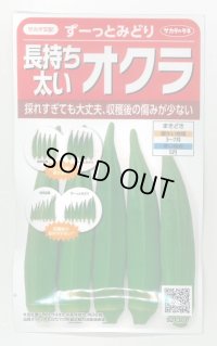 送料無料　[オクラ]　ずーっとみどり　約40粒　(株)サカタのタネ　実咲350（003253）