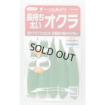 画像1: 送料無料　[オクラ]　ずーっとみどり　約40粒　(株)サカタのタネ　実咲350（003253）