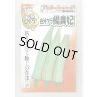 送料無料　[オクラ]　白おくら　楊貴妃　50粒　SANYO植物バイオ研究所
