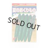 送料無料　[キュウリ]　夏のおくりもの　20粒　渡辺農事（株）