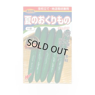 画像1: 送料無料　[キュウリ]　夏のおくりもの　20粒　渡辺農事（株）