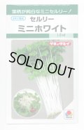 送料無料　[葉物]　セルリー　ミニホワイト　1.5ml　タキイ種苗(株)　GF