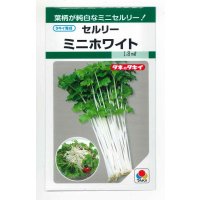 送料無料　セルリー　ミニホワイト　1.5ml　タキイ種苗(株)　GF