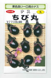 [なす]　一口小茄子　ちび丸　0.6ml（およそ60粒）　（株）渡辺採種場