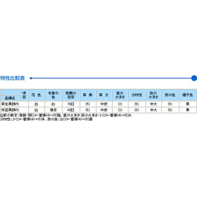 画像2: [枝豆]　早生黒頭巾　1L　タキイ種苗（株）