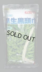[枝豆]　早生黒頭巾　1L　タキイ種苗(株)