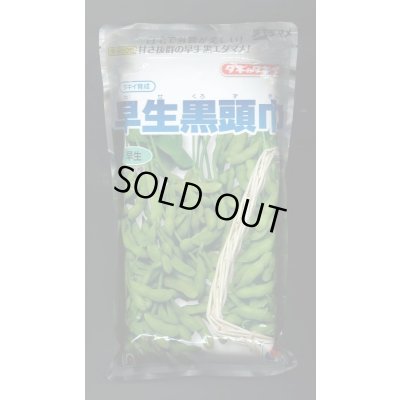 画像1: [枝豆]　早生黒頭巾　1L　タキイ種苗(株)