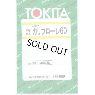 画像1: [イタリア野菜] カリフローレ60 200粒 トキタ種苗(株)
