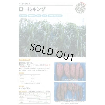 画像2: [緑肥]　スーダングラス　ロールキング　1kg　カネコ種苗(株)