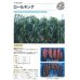 画像2: [緑肥]　スーダングラス　 ロールキング　1kg　カネコ種苗(株） (2)
