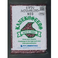 [景観形成作物]　ヒマワリ　ハイブリッドサンフラワーNEO　200g　カネコ種苗