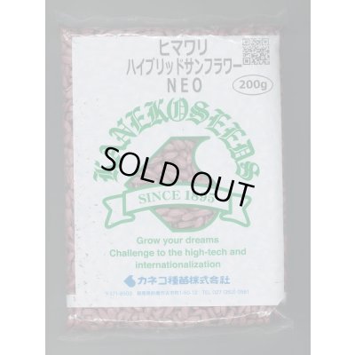 画像1: [景観形成作物]　ヒマワリ　ハイブリッドサンフラワーNEO　200g　カネコ種苗（株）