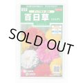 送料無料　花の種　百日草(ジニア)ダリア咲き混合　約40粒　(株)サカタのタネ　実咲250（026282）