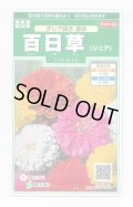送料無料　花の種　百日草(ジニア)ダリア咲き混合　約40粒　(株)サカタのタネ　実咲250（026282）
