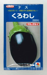 [なす]　送料無料！　くろわし　　2000粒　　タキイ種苗（株）