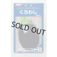 送料無料　[なす]　くろわし　2000粒　タキイ種苗(株)