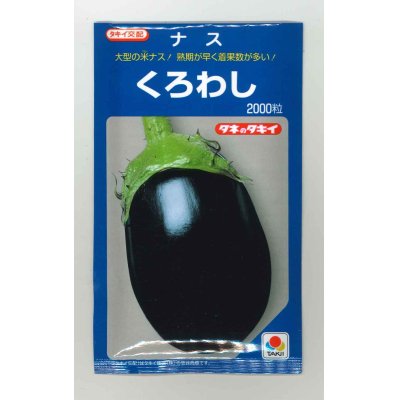 画像1: [なす]　送料無料！　くろわし　　2000粒　　タキイ種苗（株）