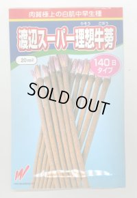 送料無料　[牛蒡]　渡辺スーパー理想　20ml　渡辺農事（株）