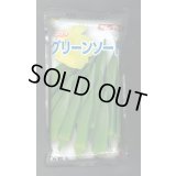 送料無料　[オクラ]　グリーンソード　1万粒　タキイ種苗(株)