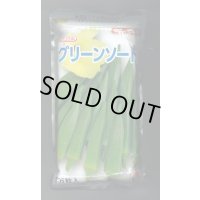 送料無料　[オクラ]　グリーンソード　1万粒　タキイ種苗(株)