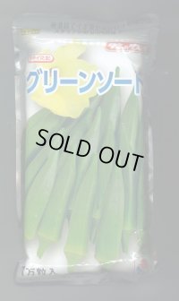 送料無料　[オクラ]　グリーンソード　1万粒　タキイ種苗(株)