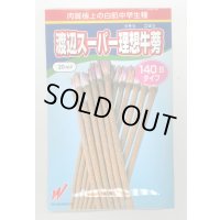 送料無料　[牛蒡]　渡辺スーパー理想　1L　渡辺農事（株）