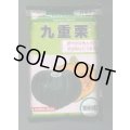 送料無料　[かぼちゃ]　九重栗　1000粒　カネコ種苗（株）