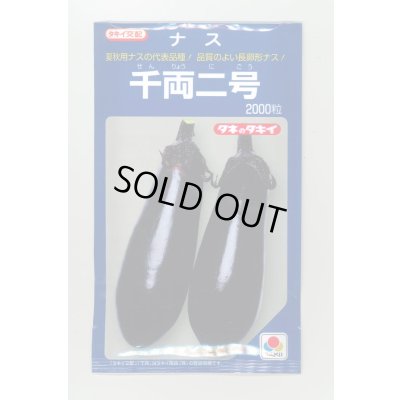 画像1: 送料無料　[なす]　千両二号　2000粒　タキイ種苗(株)