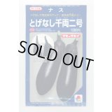 送料無料　[なす]　とげなし千両二号　1000粒　タキイ種苗(株)