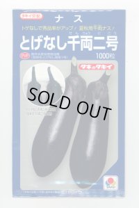 送料無料　[なす]　とげなし千両二号　1000粒　タキイ種苗(株)