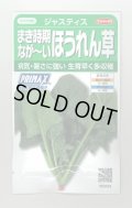送料無料　[ほうれんそう]　ジャスティス　約900粒　(株)サカタのタネ　実咲350（003014）
