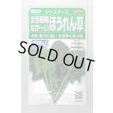 送料無料　[ほうれんそう]　ジャスティス　約900粒　(株)サカタのタネ　実咲350（003014）