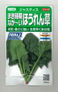 [ほうれんそう]　ジャスティス　約900粒　サカタのタネ（株）　実咲300