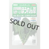 送料無料　[ほうれんそう]　ジャスティス　約900粒　(株)サカタのタネ　実咲350（003014）