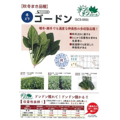 画像5: [ほうれんそう] ゴードン 種子サイズ：M 3万粒 （株）サカタのタネ