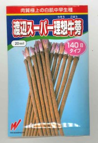 送料無料　[牛蒡]　渡辺スーパー理想　2dl　渡辺農事