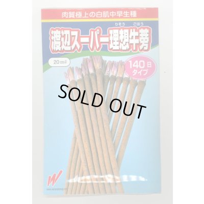 画像1: 送料無料　[牛蒡]　渡辺スーパー理想　2dl　渡辺農事（株）