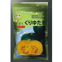 送料無料　[かぼちゃ]　くりゆたか　500粒　ヴィルモランみかど