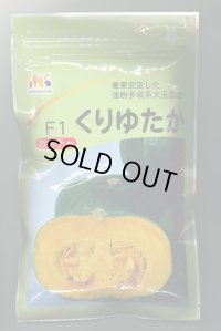 送料無料　[かぼちゃ]　くりゆたか　500粒　ヴィルモランみかど（株）