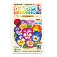 花の種　パンジー　虹色スミレ　ミックス　約35粒 　サカタのタネ（株）実咲500