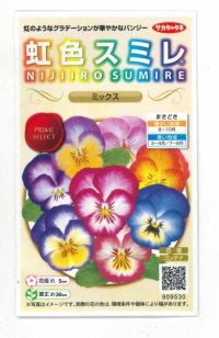 花の種　パンジー　虹色スミレ　ミックス　約35粒 　サカタのタネ（株）実咲500