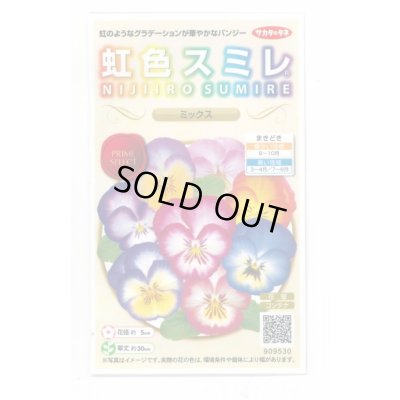 画像1: 花の種 パンジー 虹色スミレ ミックス 約35粒 (株)サカタのタネ 実咲500（026387）