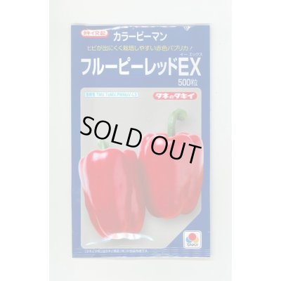 画像1: 送料無料　[ピーマン]　カラーピーマン　フルーピーレッドEX　500粒　レッド　タキイ種苗(株)