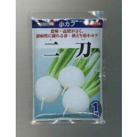 送料無料　[かぶ]　二刀　1dl　(株)サカタのタネ