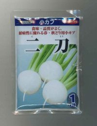 送料無料　[かぶ]　二刀　1dl　(株)サカタのタネ