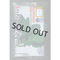 [ほうれんそう] ミラージュ 種子サイズ：L 2万粒 （株）サカタのタネ