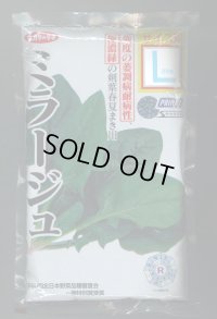 [ほうれんそう] ミラージュ 種子サイズ：L 2万粒 （株）サカタのタネ