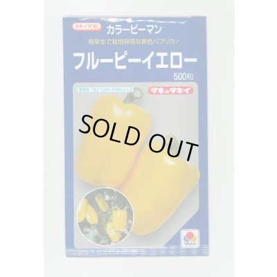 画像1: 送料無料　[ピーマン]　カラーピーマン　フルーピーイエロー　500粒　タキイ種苗(株)
