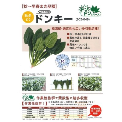 画像6: [ほうれんそう]　ドンキー　種子サイズ：M　3万粒　（株）サカタのタネ