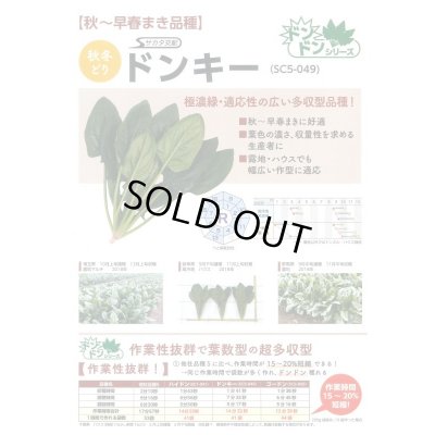 画像6: 送料無料　[ほうれんそう]　ドンキー　100ml　(約4000粒)　(株)サカタのタネ　実咲PRO